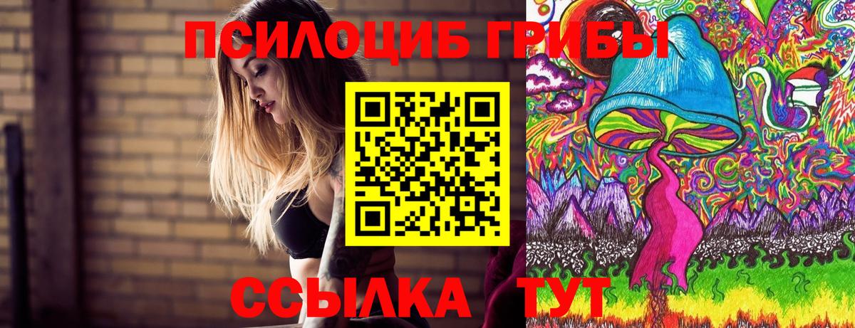 Галлюциногенные грибы Cubensis Мытищи