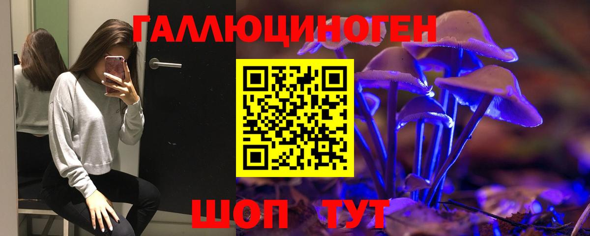 Мытищи  Галлюциногенные грибы Magic Shrooms  Вход с VPN 
